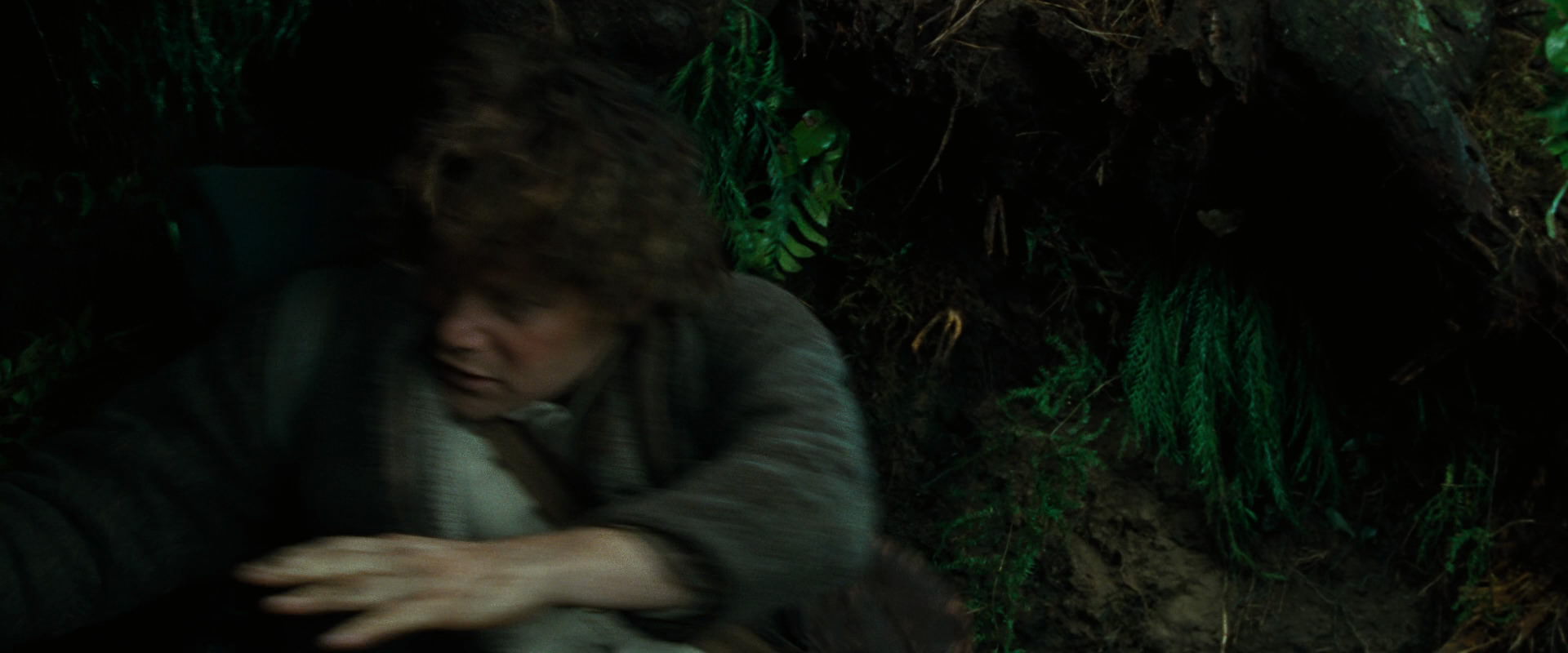 The Lord of the Rings: The Fellowship of the Ring (2001) movie still 6328