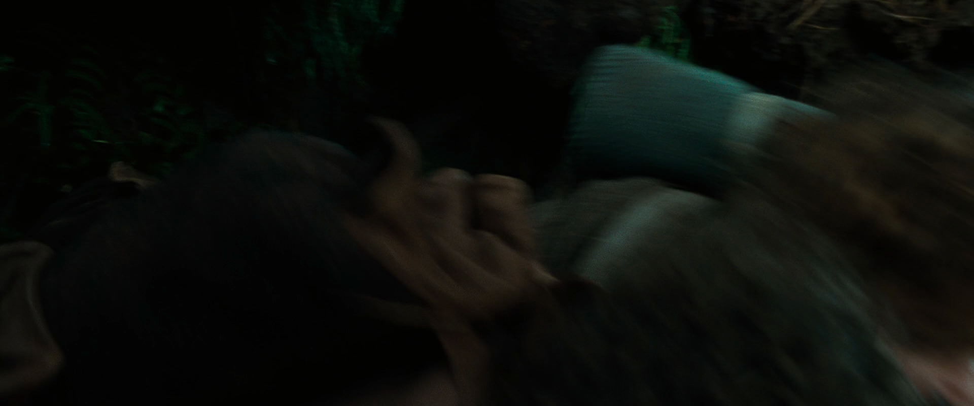 The Lord of the Rings: The Fellowship of the Ring (2001) screencap 6330