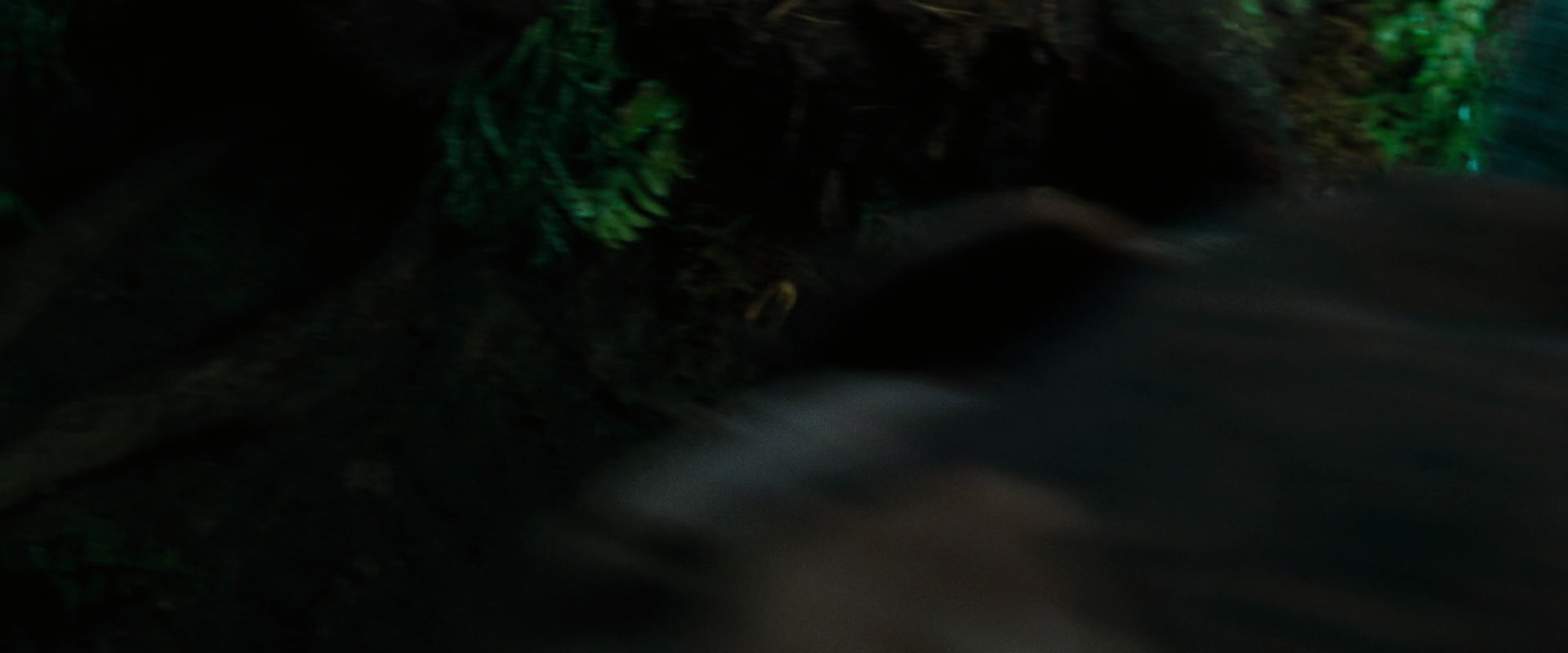 The Lord of the Rings: The Fellowship of the Ring (2001) movie still 6331
