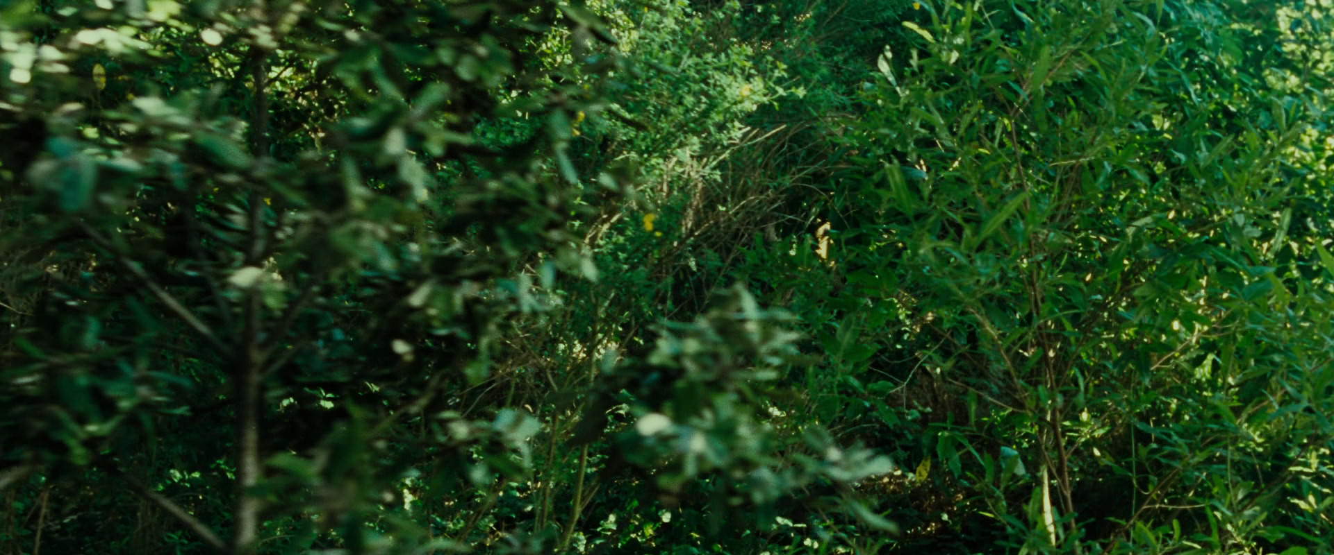 The Lord of the Rings: The Fellowship of the Ring (2001) HD screenshot 6332