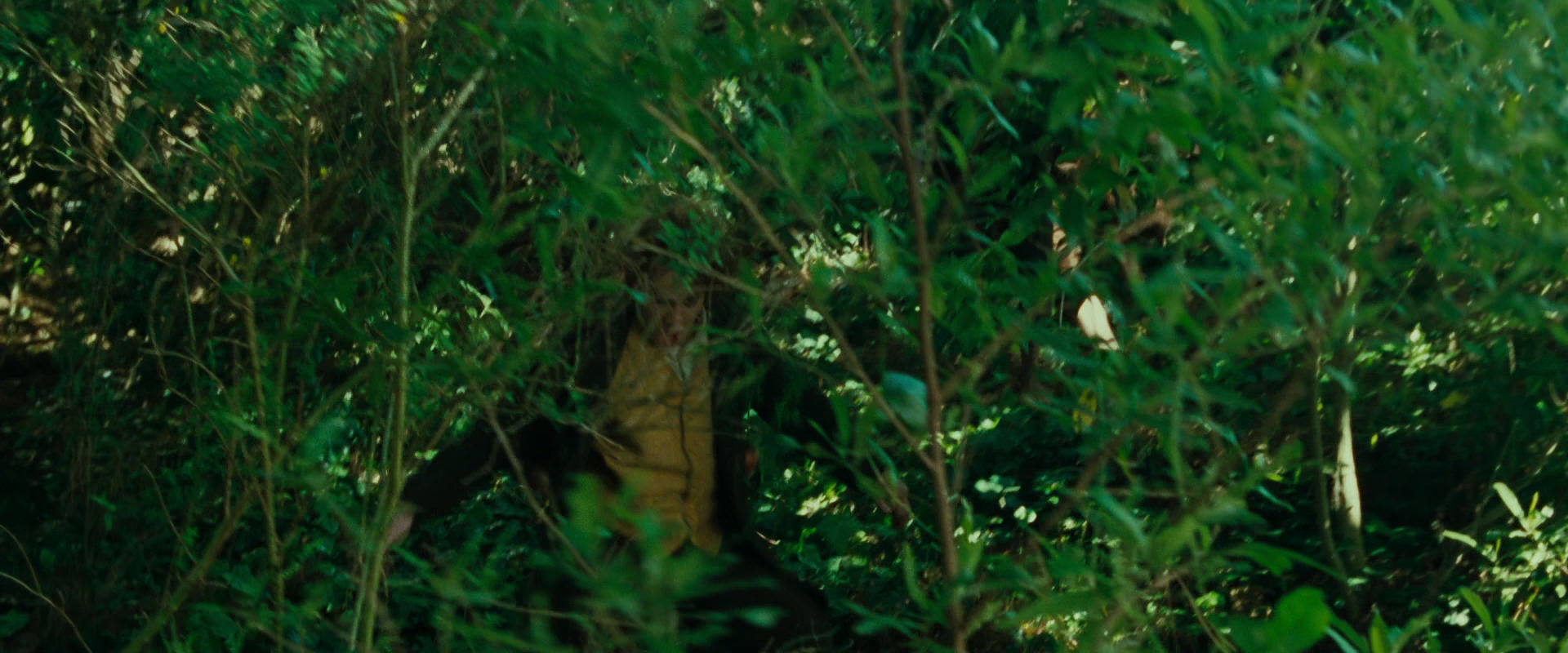 The Lord of the Rings: The Fellowship of the Ring (2001) HD screenshot 6335