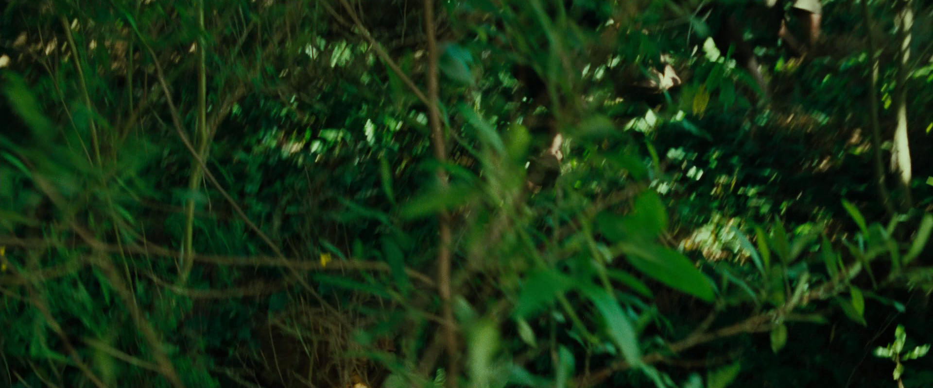 The Lord of the Rings: The Fellowship of the Ring (2001) screencap 6336