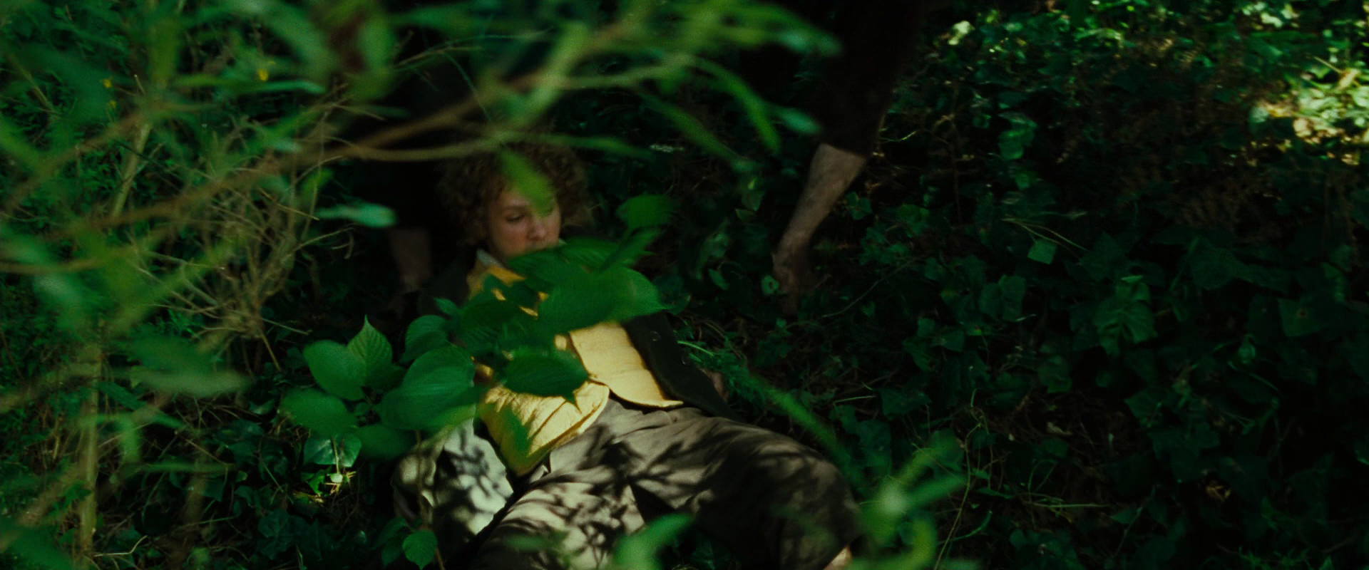 The Lord of the Rings: The Fellowship of the Ring (2001) HD screenshot 6338