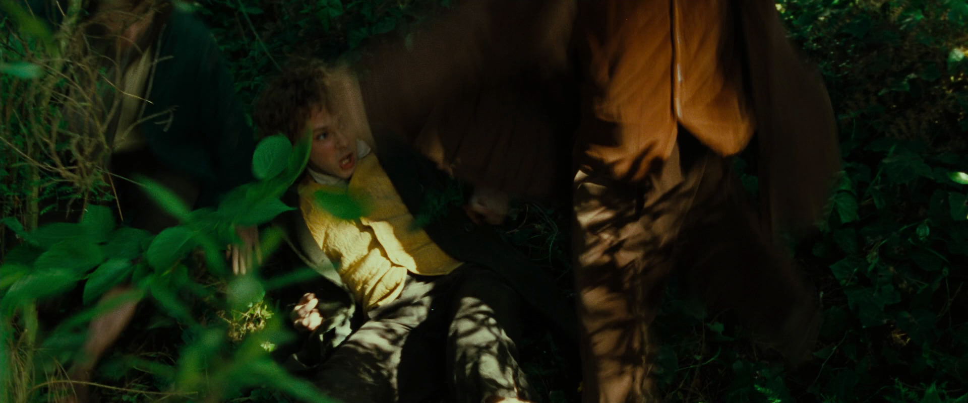 The Lord of the Rings: The Fellowship of the Ring (2001) screencap 6339