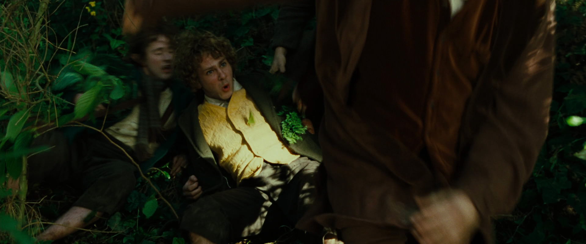 The Lord of the Rings: The Fellowship of the Ring (2001) movie still 6340