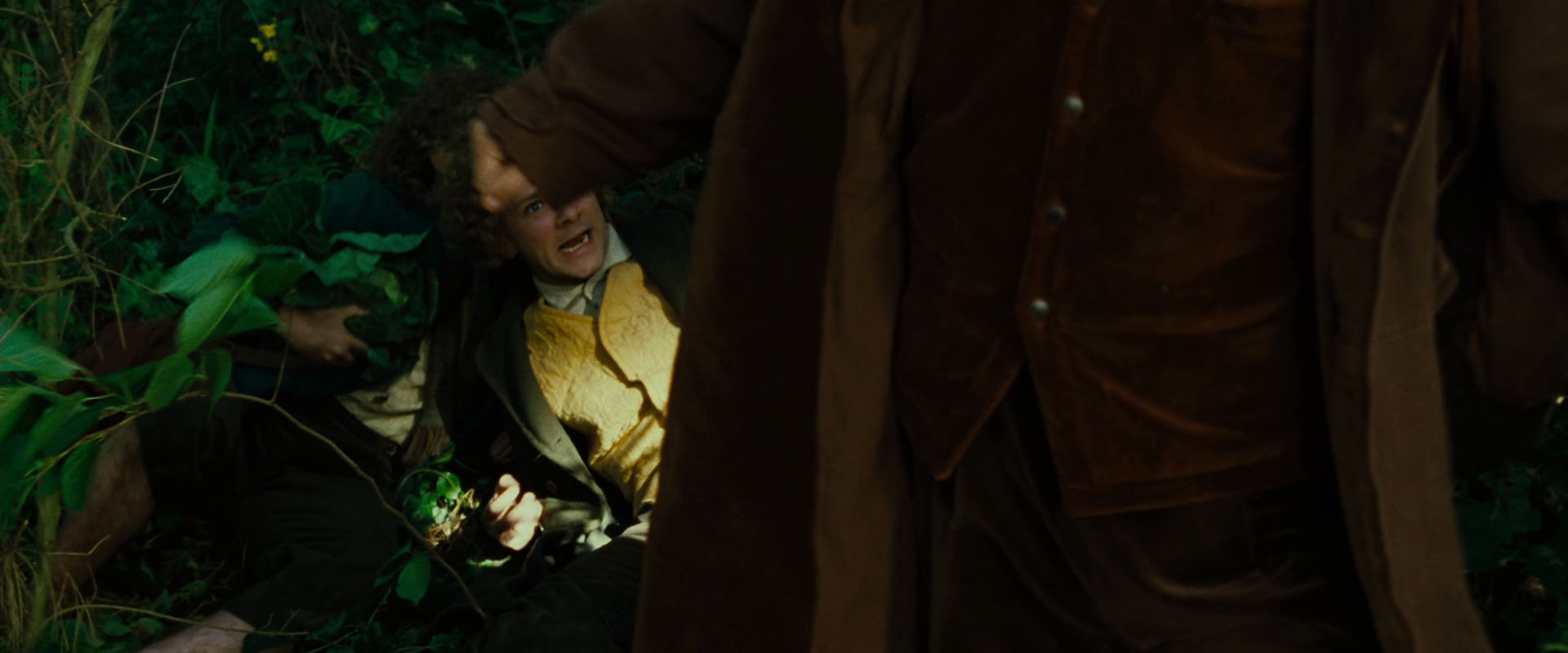 The Lord of the Rings: The Fellowship of the Ring (2001) HD screenshot 6341