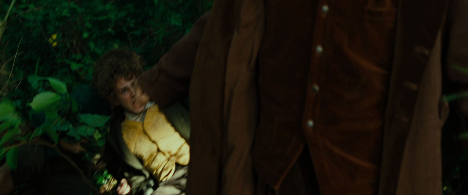 The Lord of the Rings: The Fellowship of the Ring (2001) screencap 6342
