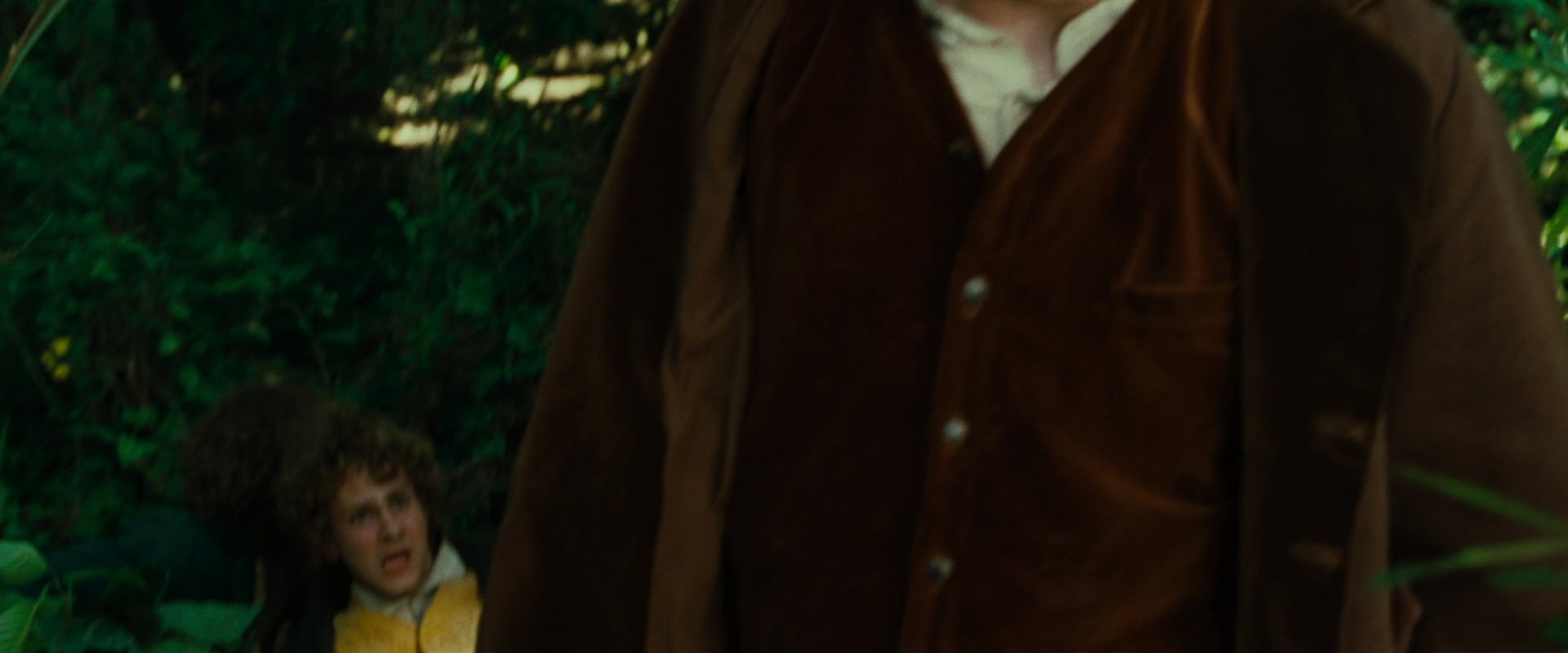 The Lord of the Rings: The Fellowship of the Ring (2001) movie still 6343