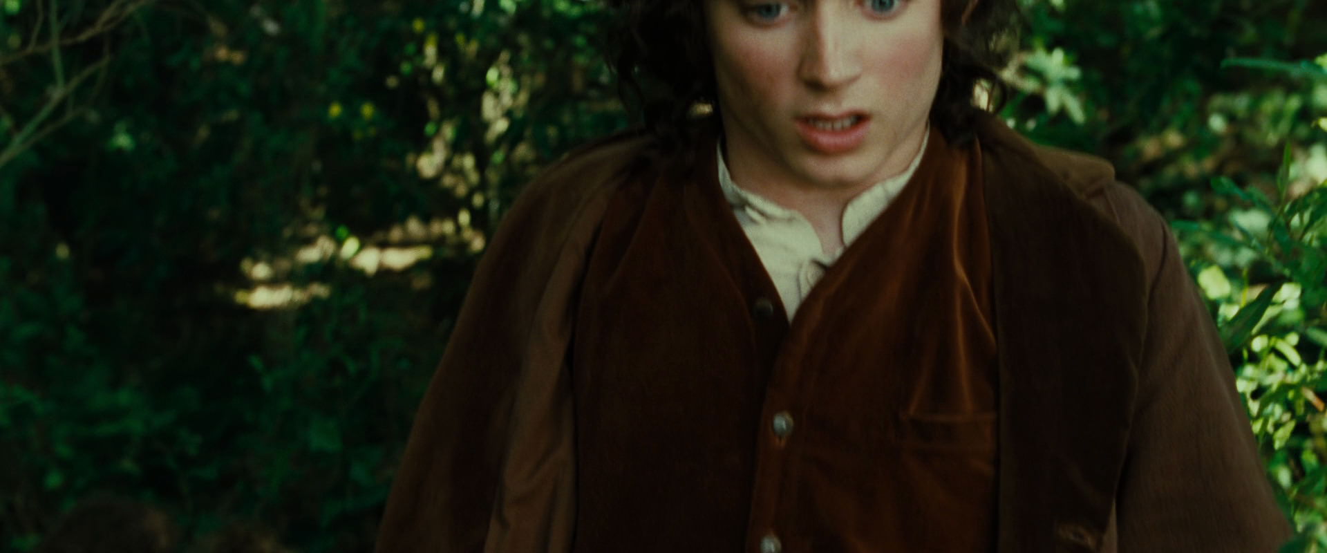 The Lord of the Rings: The Fellowship of the Ring (2001) HD screenshot 6344