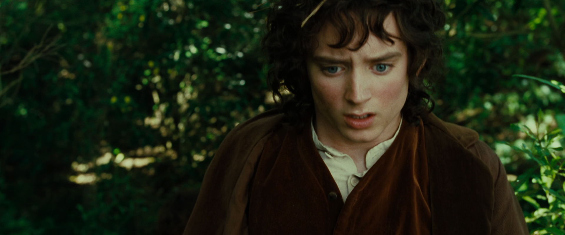The Lord of the Rings: The Fellowship of the Ring (2001) screencap 6345
