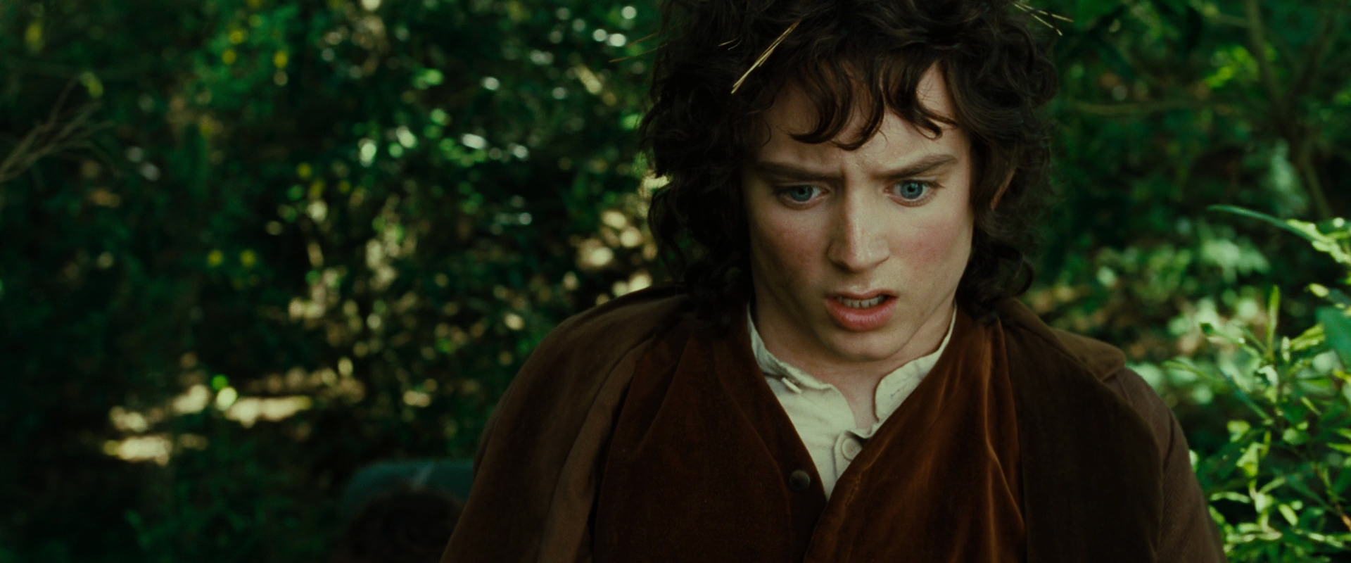 The Lord of the Rings: The Fellowship of the Ring (2001) movie still 6346