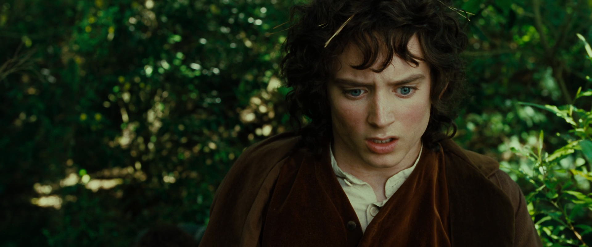 The Lord of the Rings: The Fellowship of the Ring (2001) HD screenshot 6347
