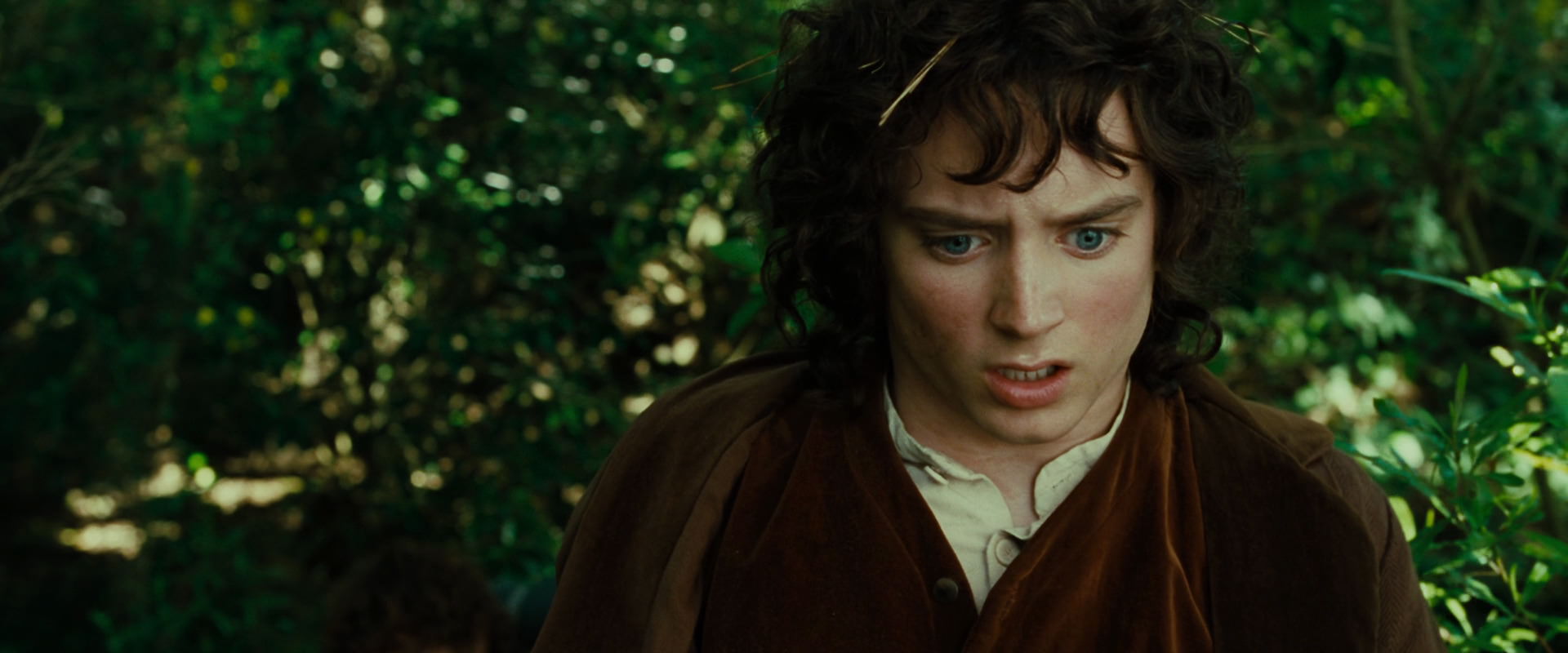The Lord of the Rings: The Fellowship of the Ring (2001) screencap 6348