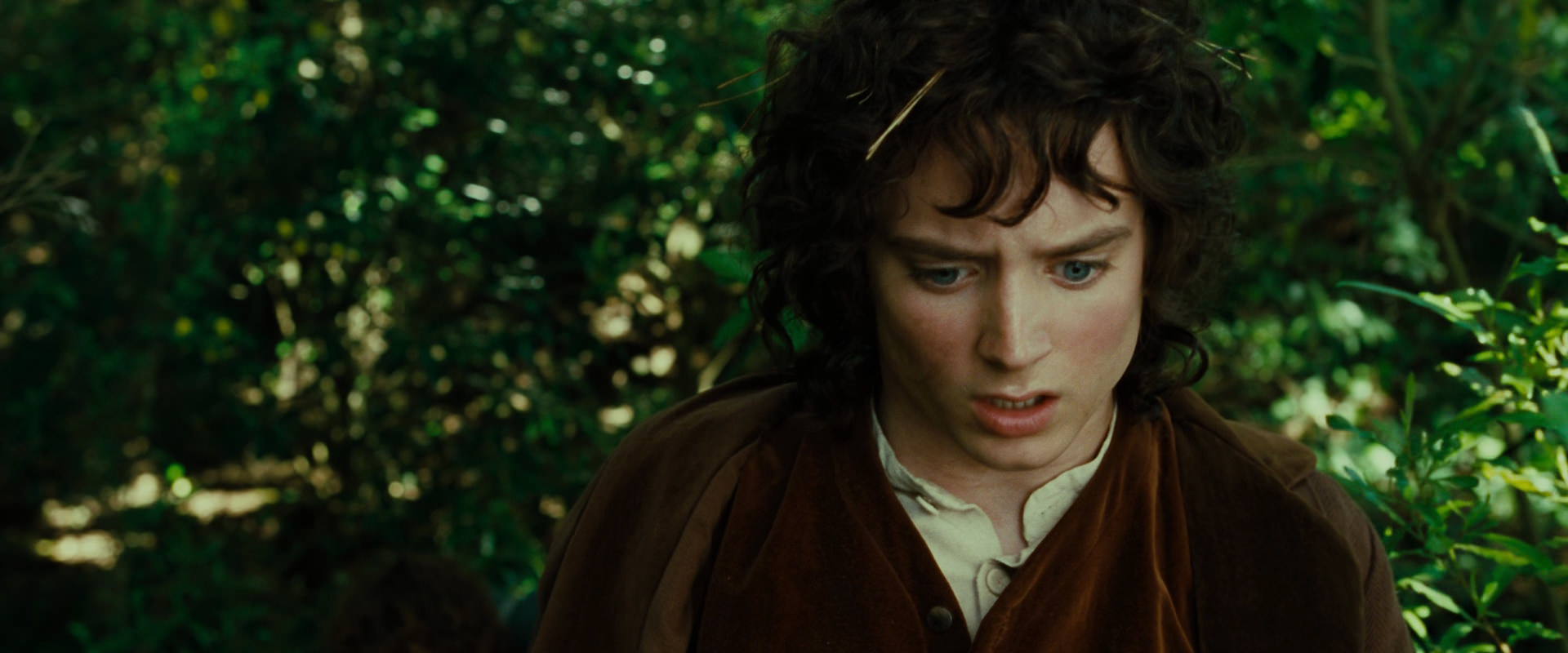 The Lord of the Rings: The Fellowship of the Ring (2001) movie still 6349
