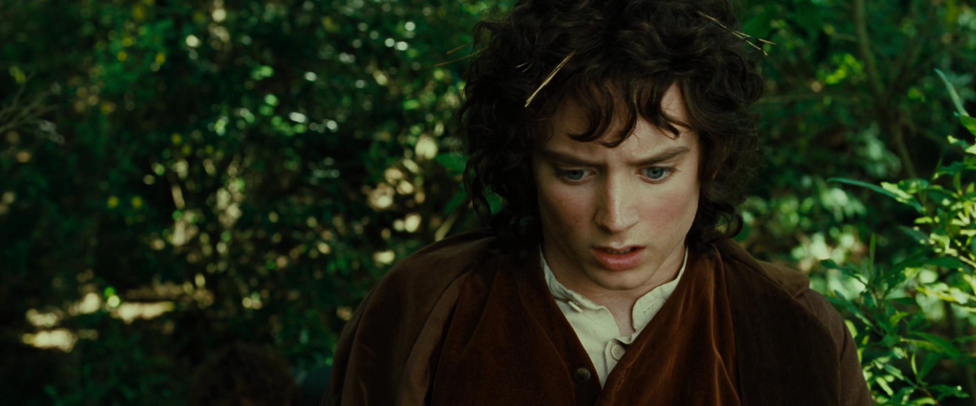 The Lord of the Rings: The Fellowship of the Ring (2001) HD screenshot 6350