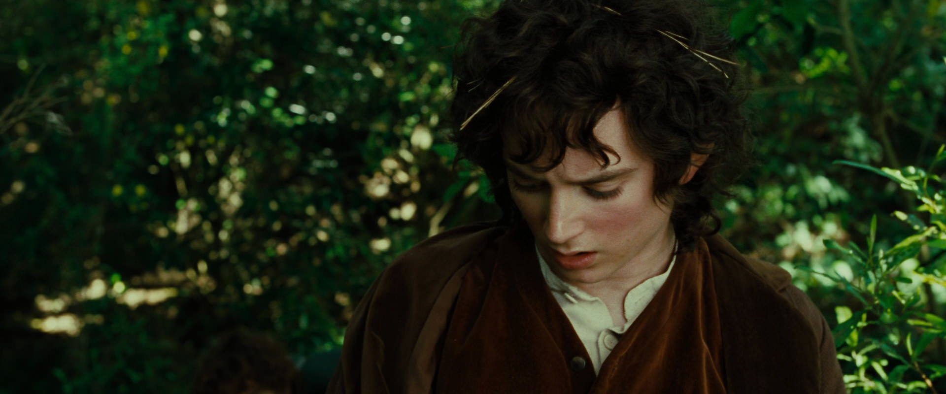 The Lord of the Rings: The Fellowship of the Ring (2001) screencap 6351