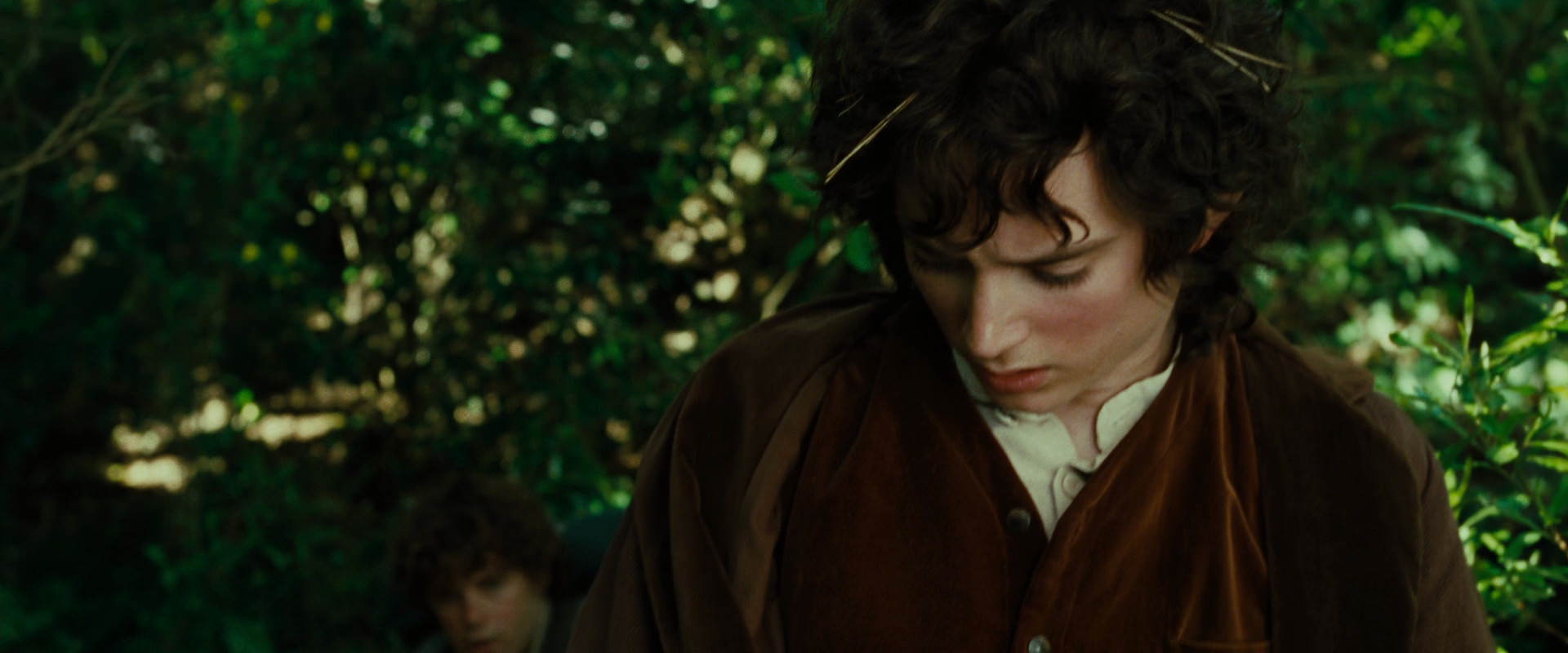 The Lord of the Rings: The Fellowship of the Ring (2001) movie still 6352