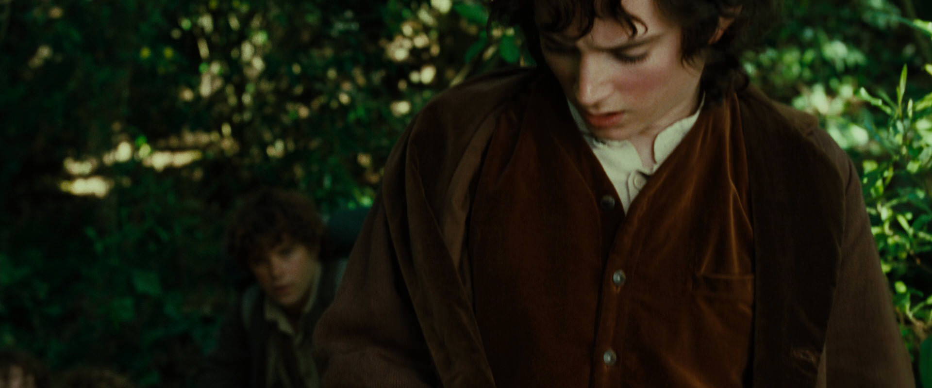 The Lord of the Rings: The Fellowship of the Ring (2001) HD screenshot 6353