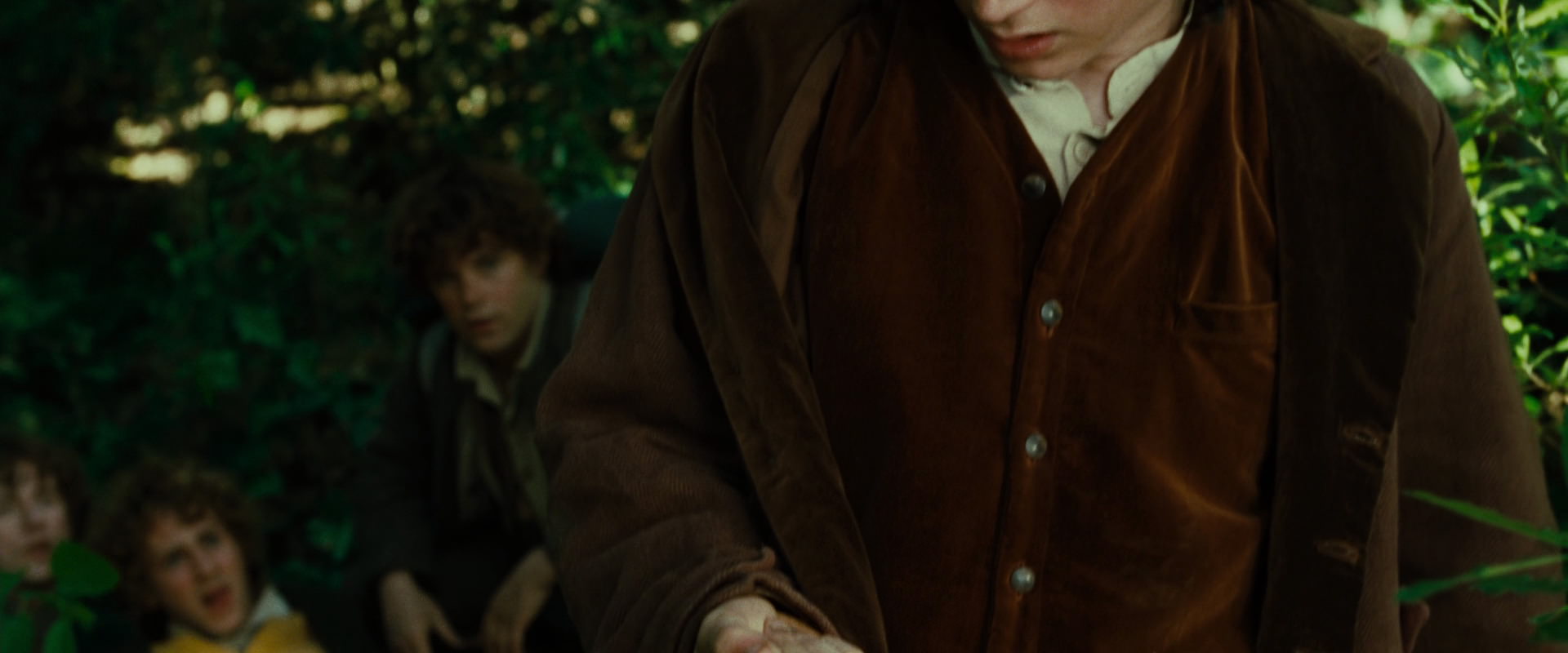 The Lord of the Rings: The Fellowship of the Ring (2001) screencap 6354