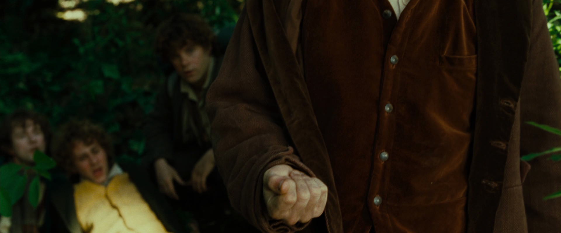 The Lord of the Rings: The Fellowship of the Ring (2001) movie still 6355