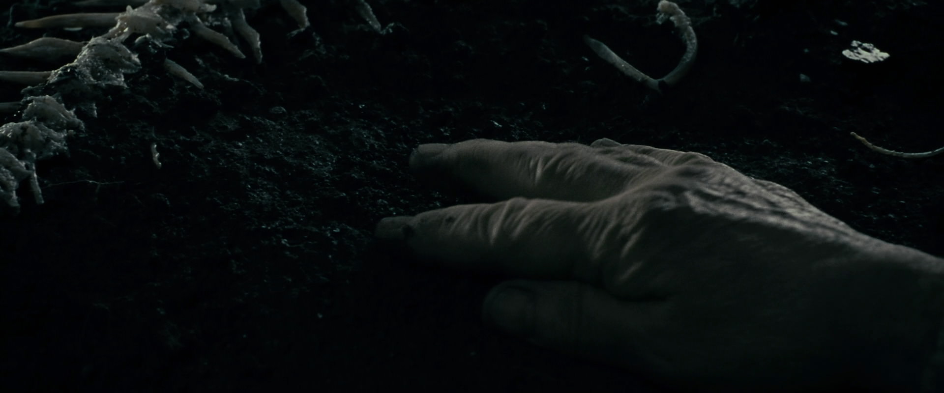 The Lord of the Rings: The Fellowship of the Ring (2001) screencap 636