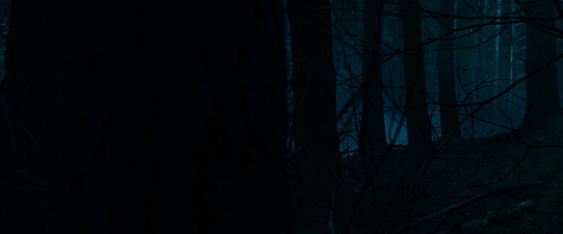 The Lord of the Rings: The Fellowship of the Ring (2001) screencap 6366