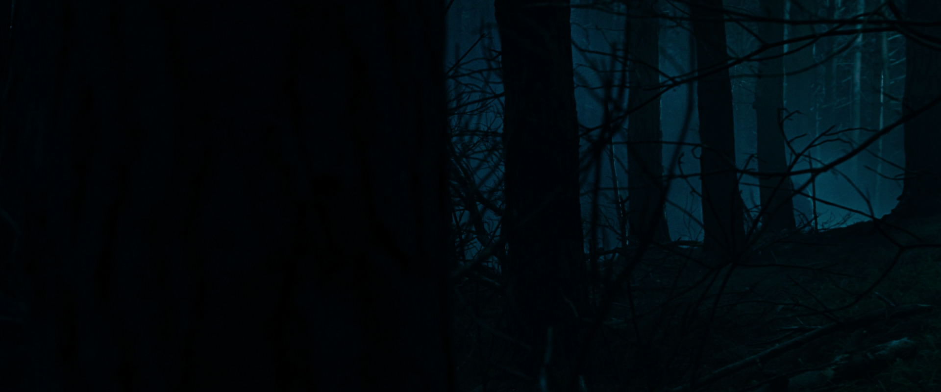 The Lord of the Rings: The Fellowship of the Ring (2001) HD screenshot 6368