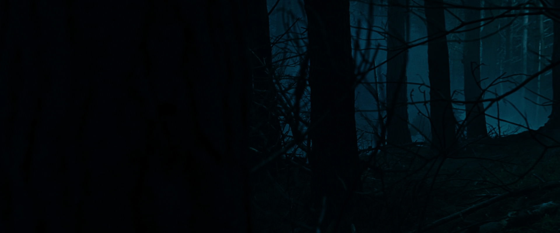 The Lord of the Rings: The Fellowship of the Ring (2001) screencap 6369