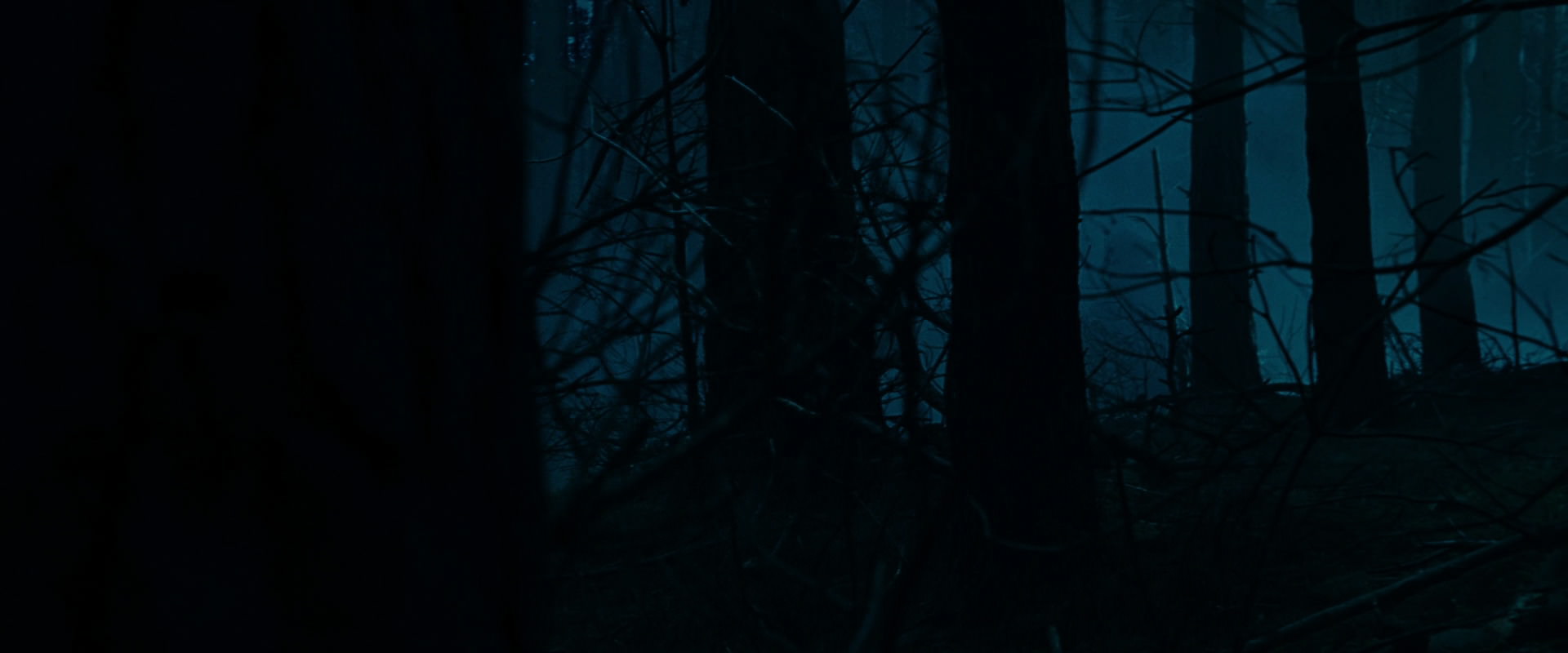 The Lord of the Rings: The Fellowship of the Ring (2001) HD screenshot 6371