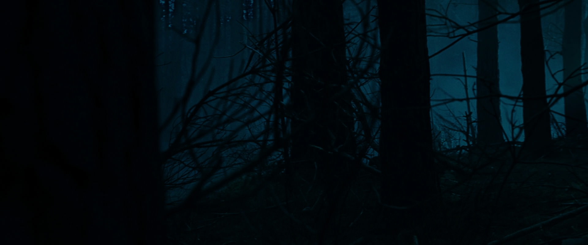 The Lord of the Rings: The Fellowship of the Ring (2001) screencap 6372