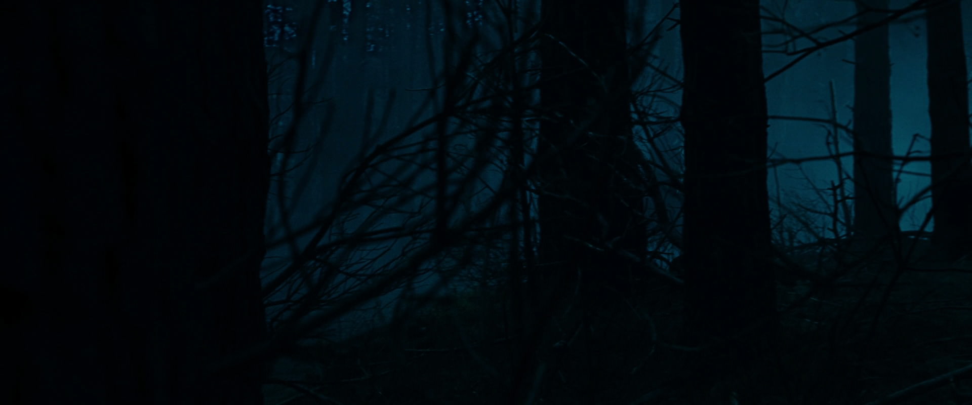 The Lord of the Rings: The Fellowship of the Ring (2001) movie still 6373