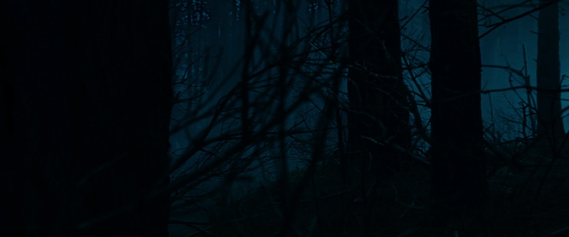 The Lord of the Rings: The Fellowship of the Ring (2001) HD screenshot 6374