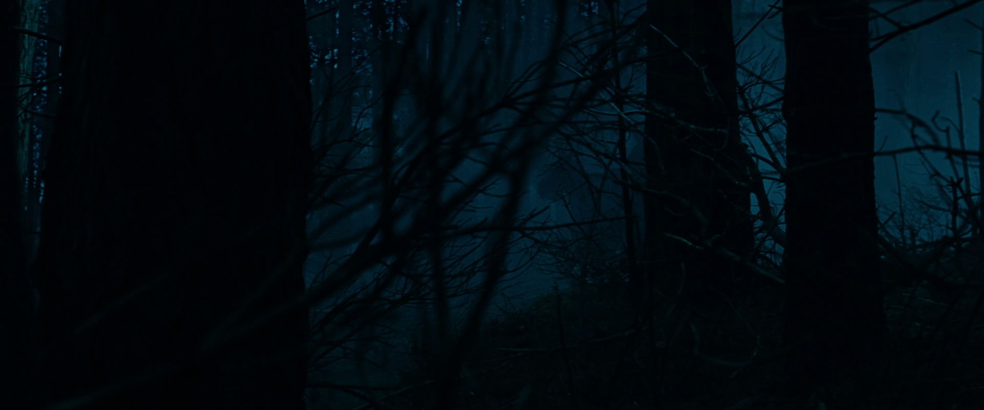 The Lord of the Rings: The Fellowship of the Ring (2001) screencap 6375