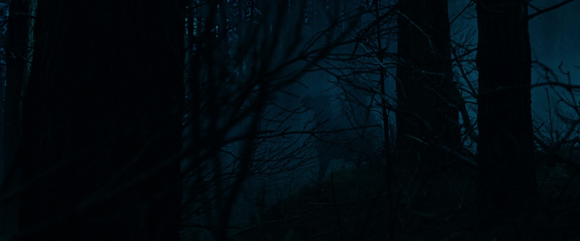 The Lord of the Rings: The Fellowship of the Ring (2001) movie still 6376