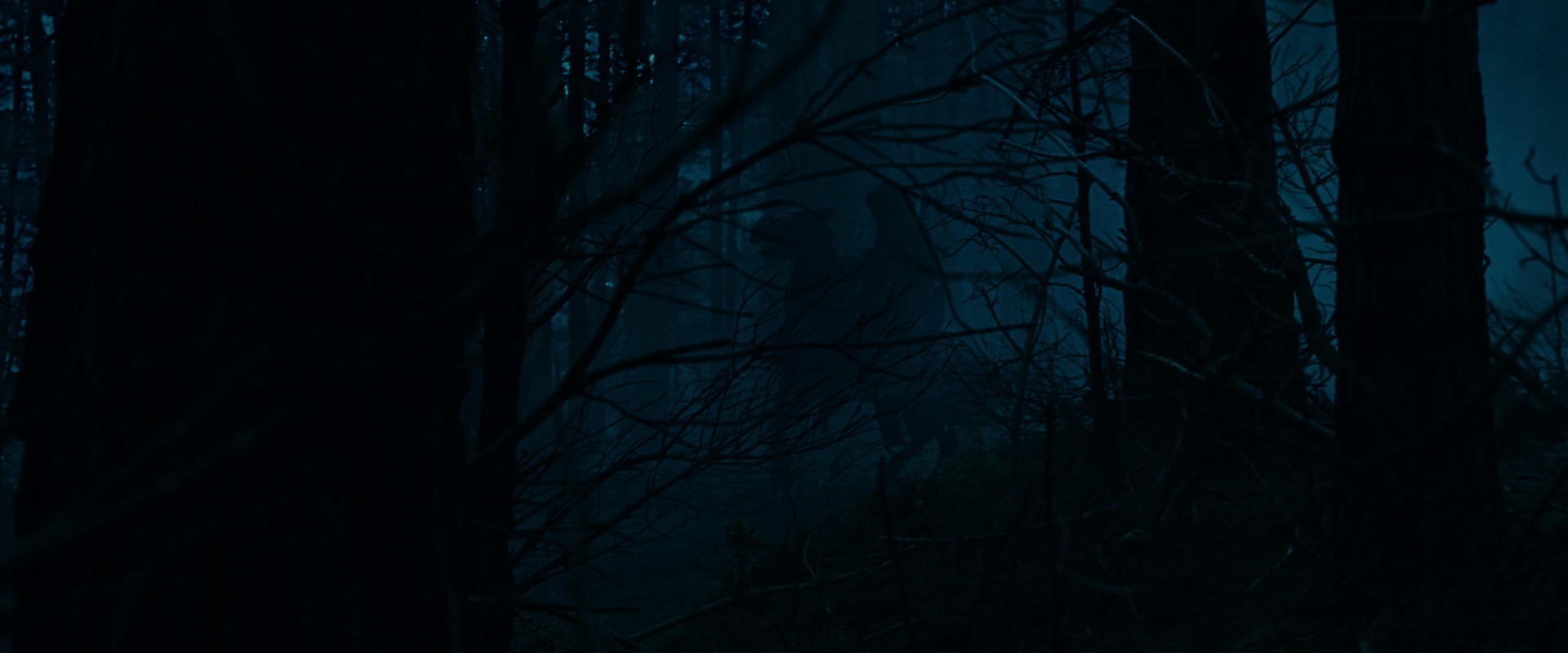 The Lord of the Rings: The Fellowship of the Ring (2001) screencap 6378