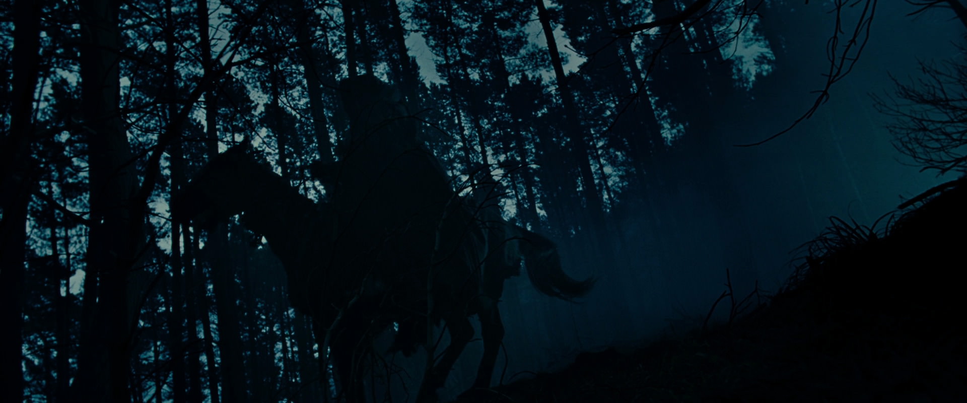 The Lord of the Rings: The Fellowship of the Ring (2001) movie still 6379