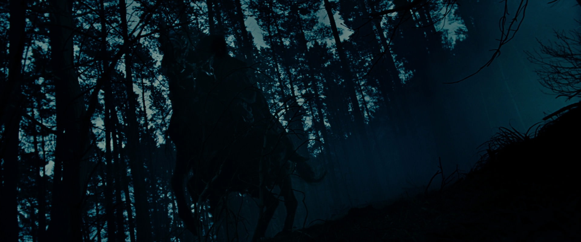 The Lord of the Rings: The Fellowship of the Ring (2001) screencap 6381