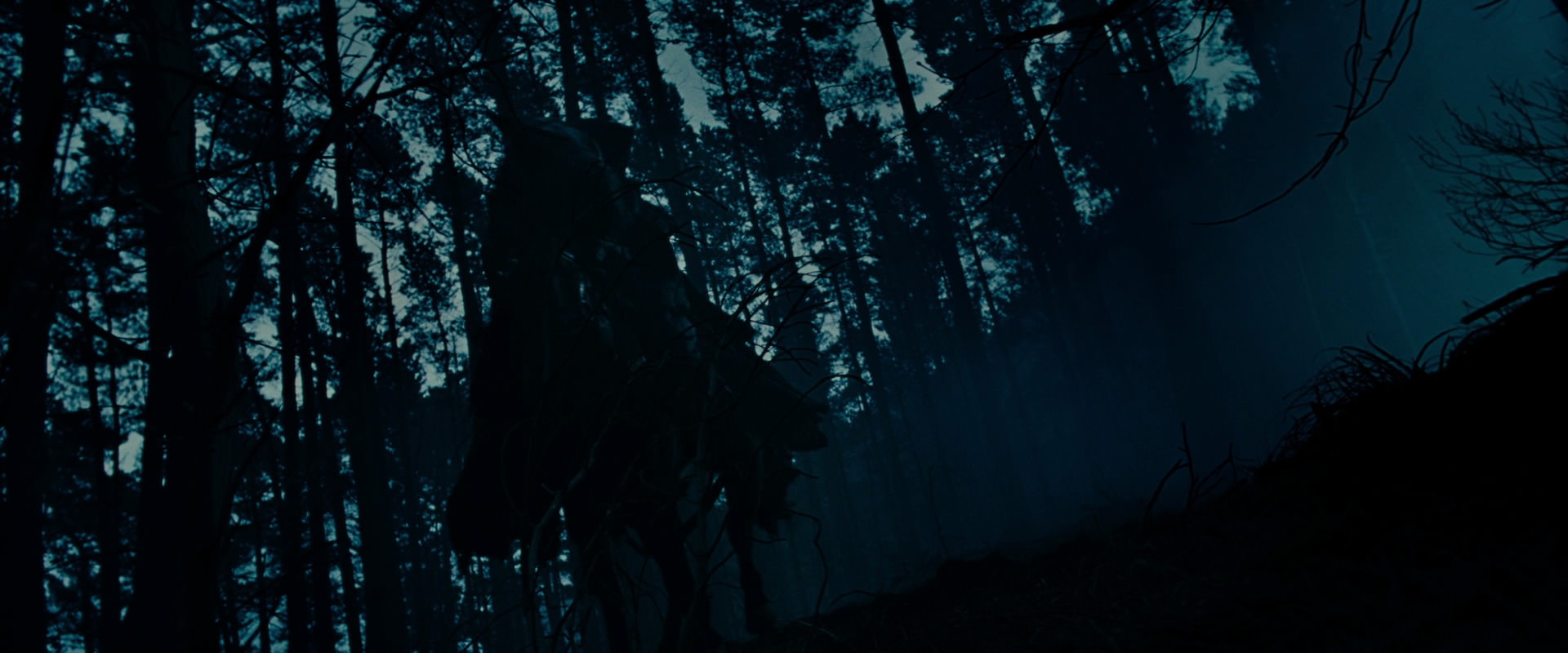 The Lord of the Rings: The Fellowship of the Ring (2001) movie still 6382