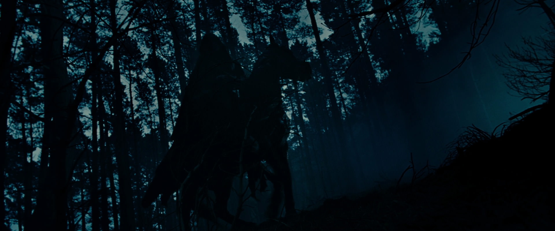 The Lord of the Rings: The Fellowship of the Ring (2001) screencap 6384
