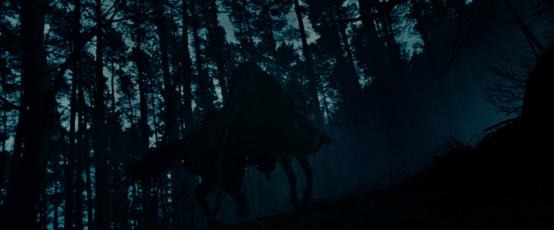 The Lord of the Rings: The Fellowship of the Ring (2001) HD screenshot 6386