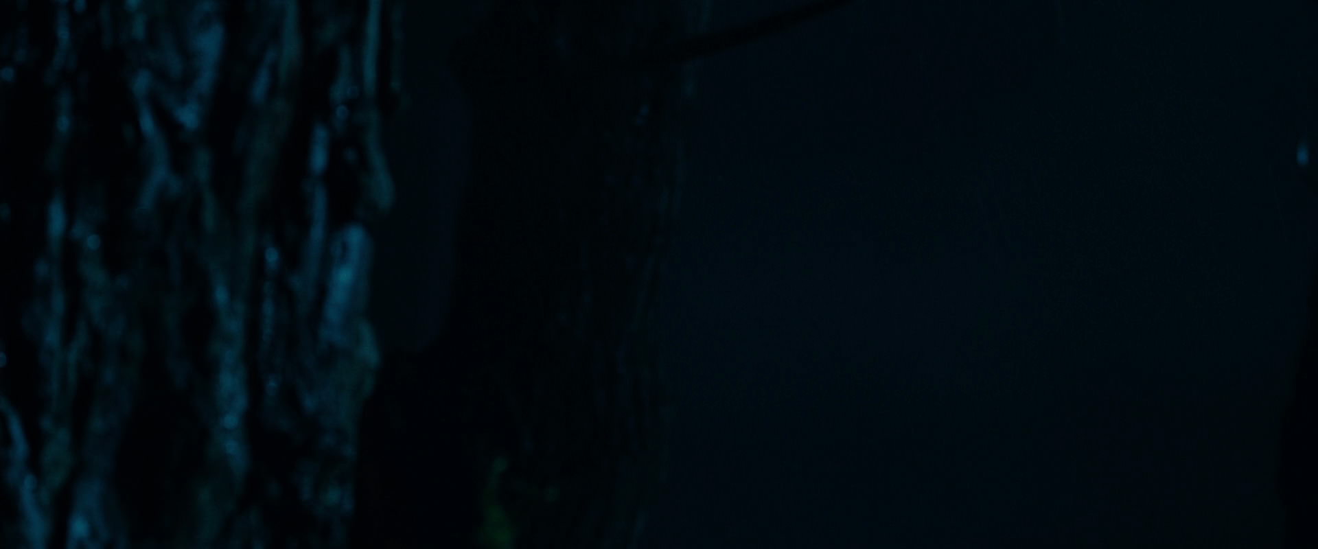 The Lord of the Rings: The Fellowship of the Ring (2001) screencap 6387