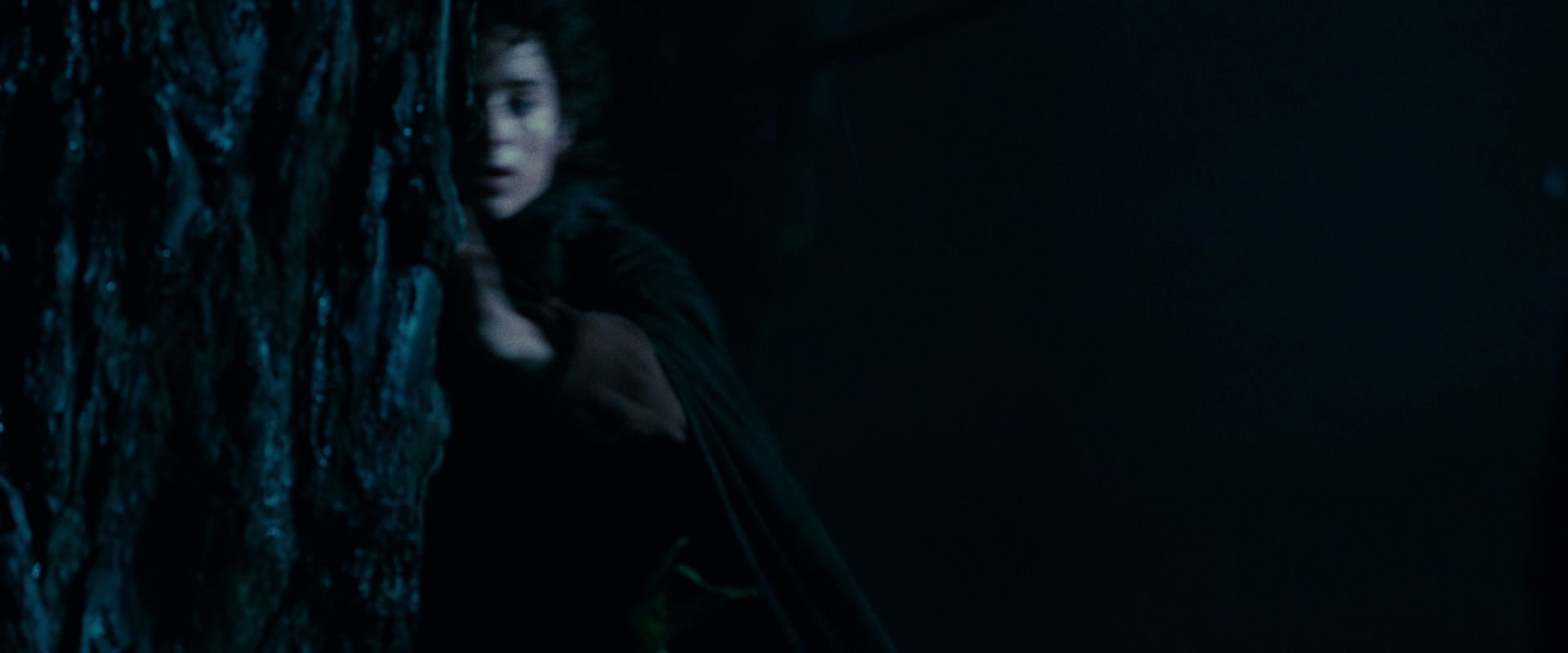 The Lord of the Rings: The Fellowship of the Ring (2001) movie still 6388