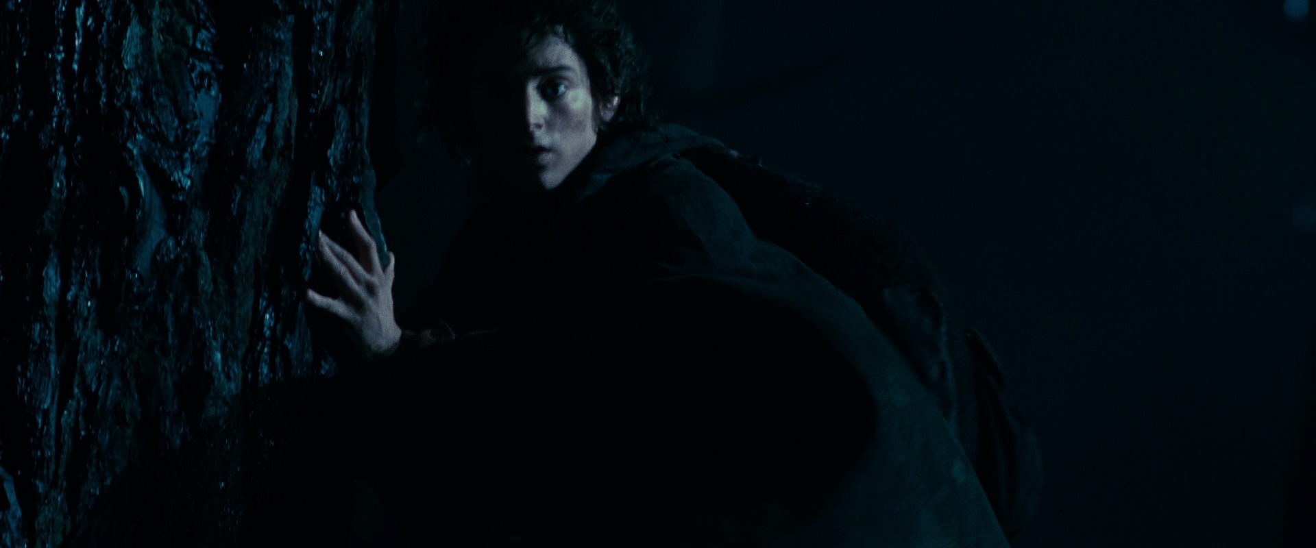 The Lord of the Rings: The Fellowship of the Ring (2001) HD screenshot 6389