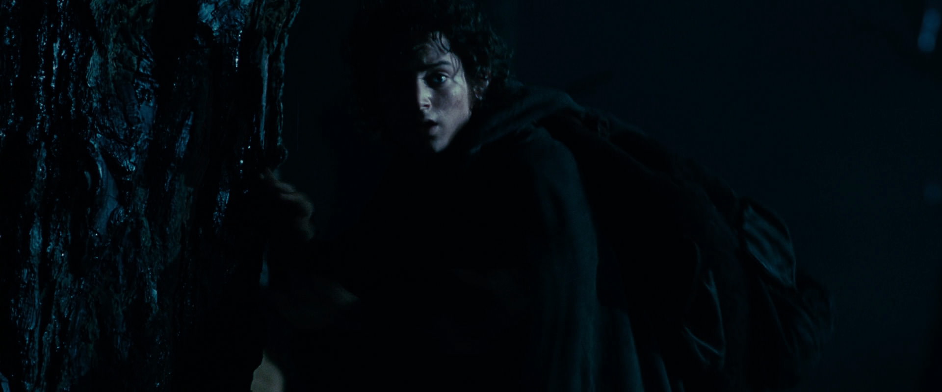 The Lord of the Rings: The Fellowship of the Ring (2001) screencap 6390