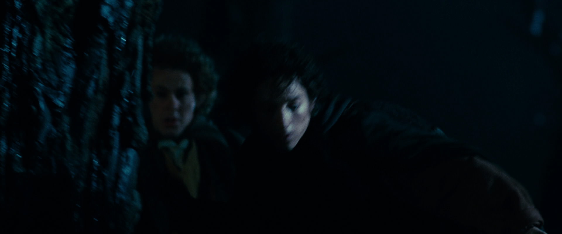 The Lord of the Rings: The Fellowship of the Ring (2001) movie still 6391