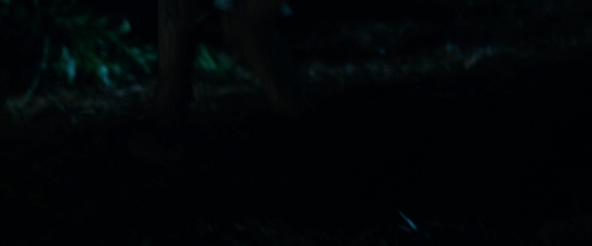 The Lord of the Rings: The Fellowship of the Ring (2001) screencap 6393