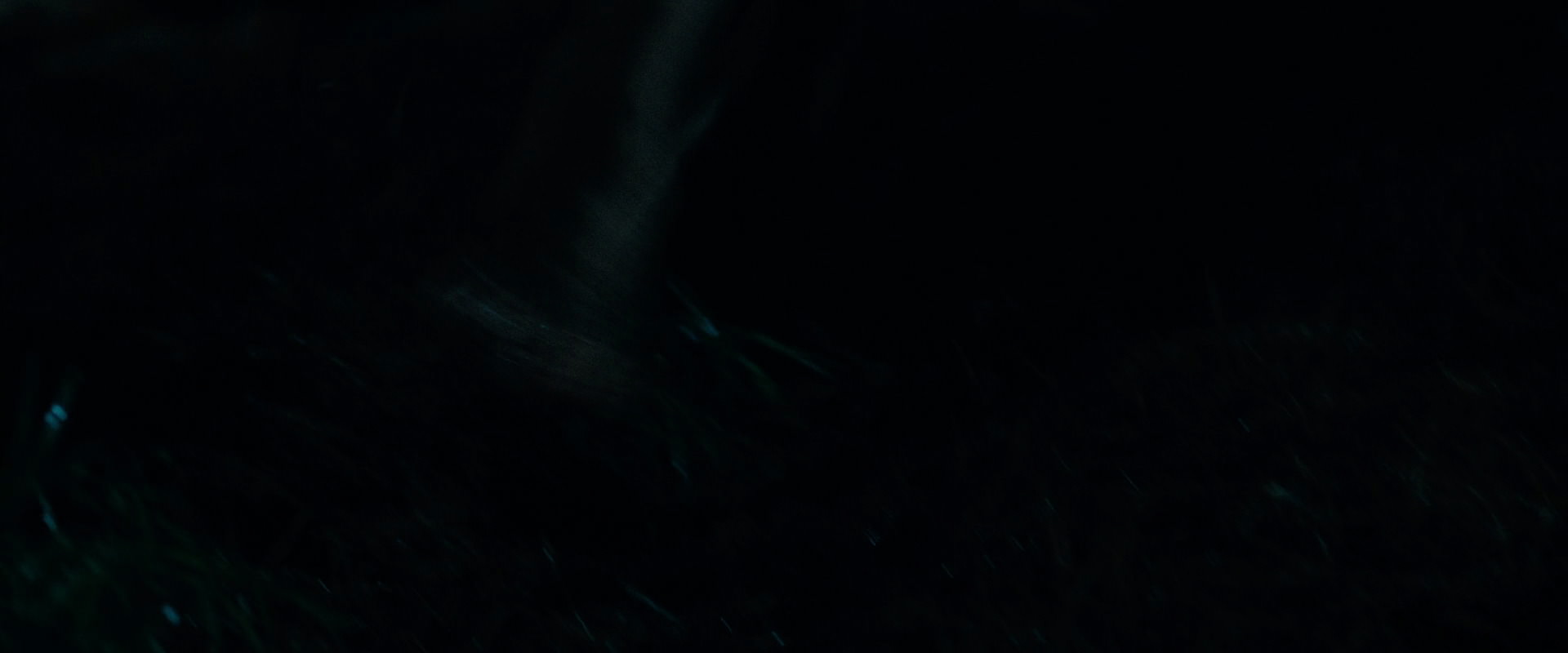 The Lord of the Rings: The Fellowship of the Ring (2001) movie still 6394