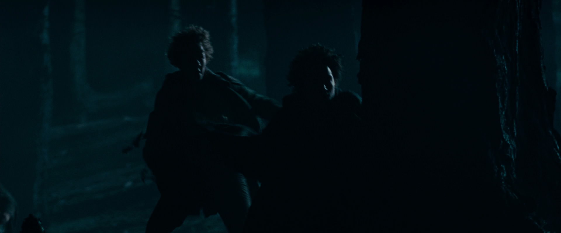 The Lord of the Rings: The Fellowship of the Ring (2001) HD screenshot 6398