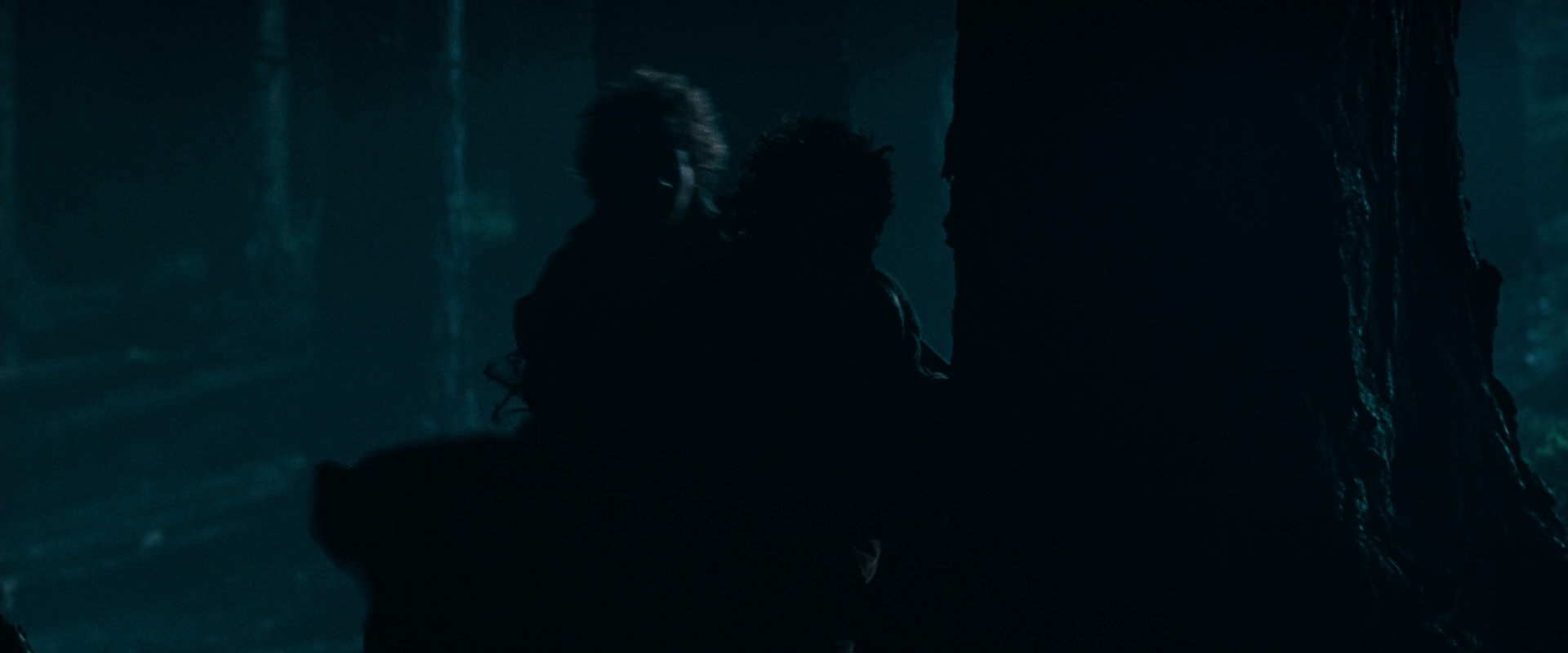 The Lord of the Rings: The Fellowship of the Ring (2001) screencap 6399