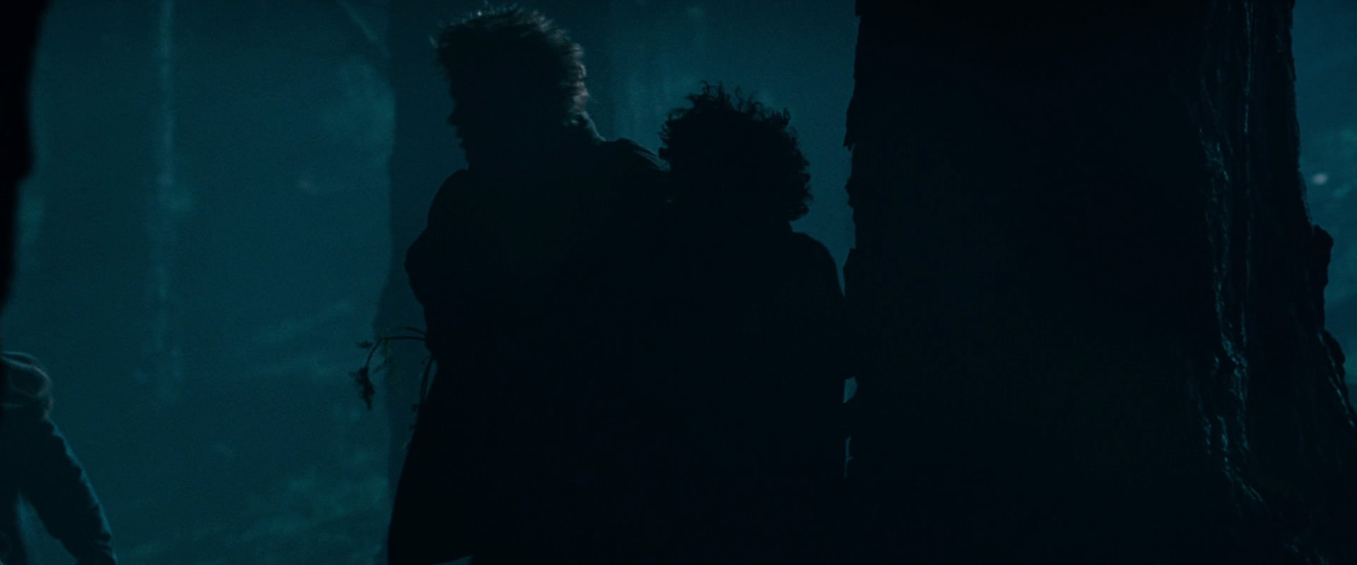 The Lord of the Rings: The Fellowship of the Ring (2001) HD screenshot 6401